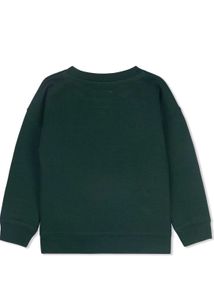 cherry crumble Boys Cotton Crew Neck Sweatshirt