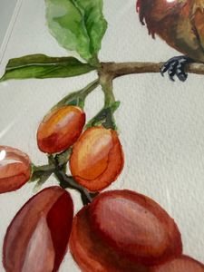 Watercolor Canvas Painting Hummingbird