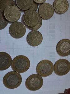 Vaishno Devi Shrine Board Coins 30 Piece Set