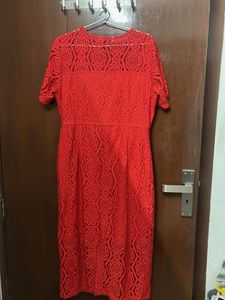 Elegant Red Lace Button-Up Dress