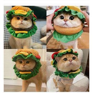 Cute Hamburger Pet Hat