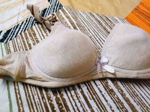 Comfortable Lightly Padded Bra