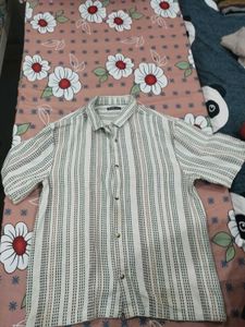 women Short Sleeve Shirt