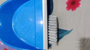 Dust Pan With Brush