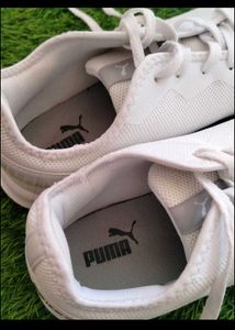 Puma White Sneakers