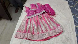 Stunning Pink Embroidered Lehenga Choli Set
