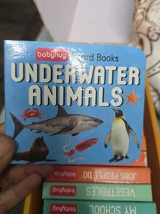 BabyHug Board Books Set