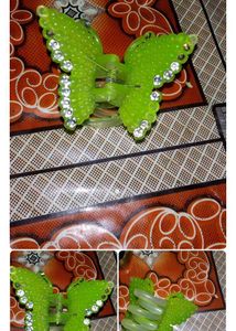 combo of 2 ppElegant Butterfly Clature
