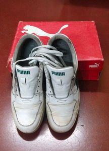PUMA SkateCat Drift Sneakers (White-Malachite) – M