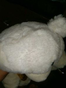 White Teddy bear