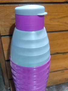Set of 4 Cello Insulated Water Bottle