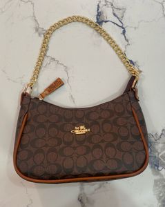Coach Signature Hobo Bag