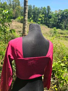 Crochet Crop Top Blouse