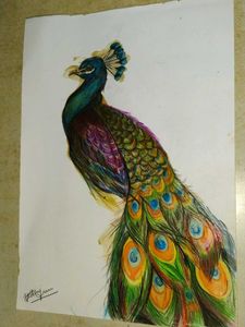 Vibrant Peacock Feather Artwork