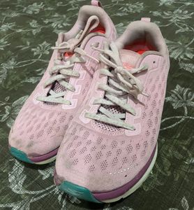 Skechers Shoes