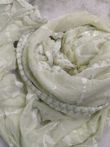 Embellished Net Dupatta