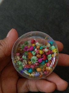 Mini Dried Flowers