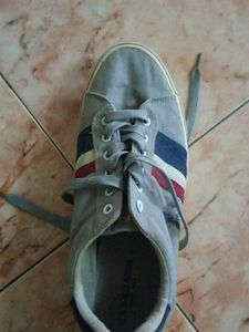 USPA Grey Casual Sneakers