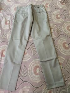 Men's Light Grey Formal Trousers