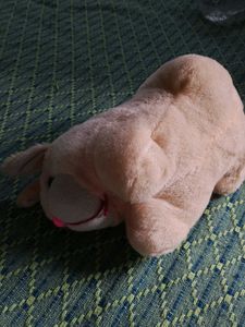 Cute Plush Dog Toy