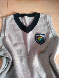 Argyle Sweater Vest 🦺🧙🧋