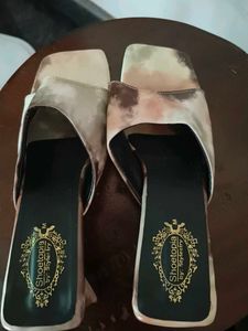 Stylish Shoetopia Heels