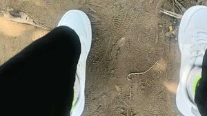 White Perforated Sneakers