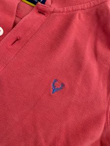 Stylish Allen Solly Collar T-Shirt for Boys