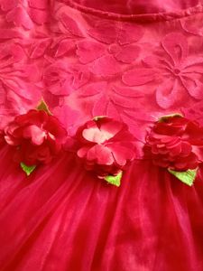 Stunning Red Ethnic Gown