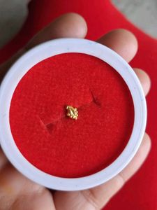 Gold Nose Pin