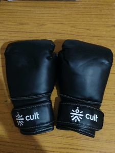 Cult Boxing Gloves Black 12 OZ