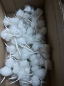 cotton wick रुई के बाटी 100 pc