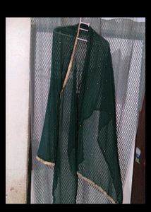 Elegant Green Sequined Kurta Set