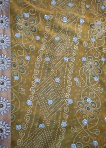 Blue Saree with Polka Dots &amp; Embroidery