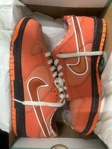 Nike Dunk Low Orange