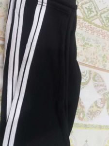 Ladies Active Wear Tights