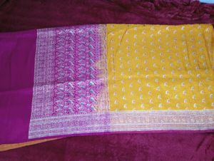 Multi-Color Kanjeevaram Pure Silk Saree