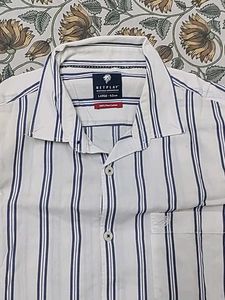 Netplay Striped Casual Shirt