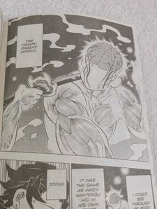 Demon Slayer 17