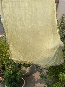 Beautiful Pale Yellow Saree