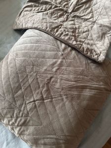 new Velvet Accent Pillows (Set of 2)