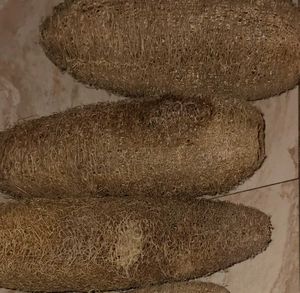 Best Natural Loofah Sponge