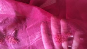 Magenta Soft Organza Handwork Saree with Zari Bord