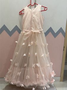 Beautiful Pink Embellished Gown