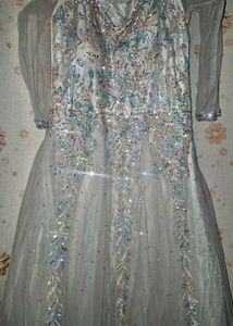 Elegant Embroidered Ethnic Gown