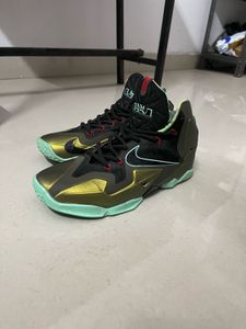 URGENT 🚨 Nike Lebron Basketball Shoes