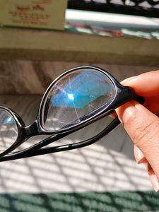 cateye   spectacle