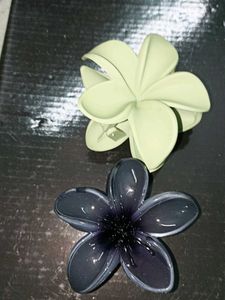 Beautiful Flower Hair Clips (Set of 2)