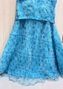 Beautiful Blue Printed Ethnic Gown