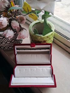 Elegant Red Earrings Box Organizer